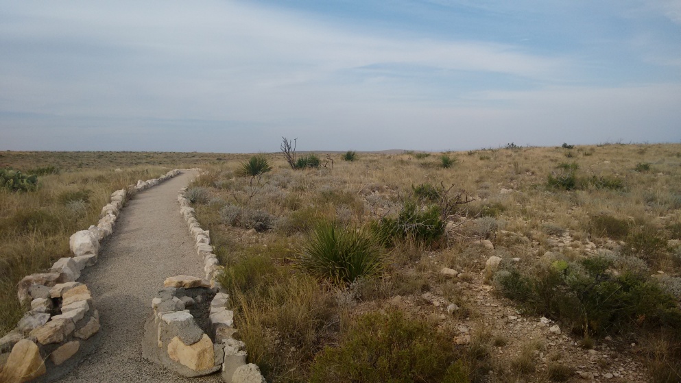 Nature Trail in the Chihuahuan Desert